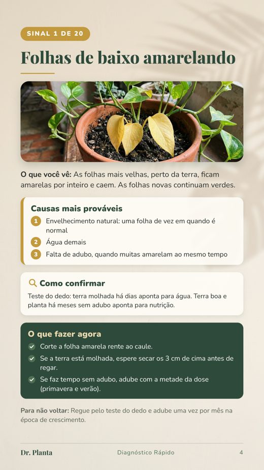 Página do Diagnóstico Rápido