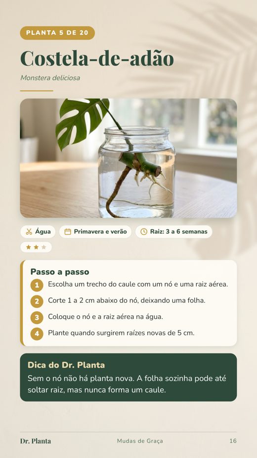 Página do Mudas de Graça